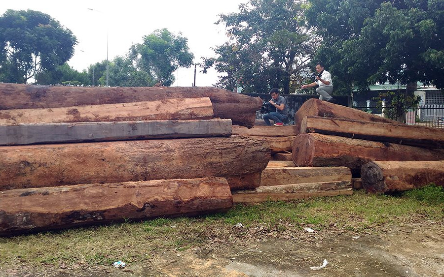 Hai cán bộ vướng lao lý vì để mất gần 50 khối gỗ rừng