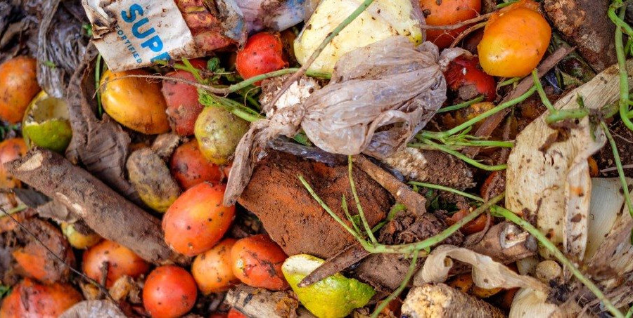 Nỗi lo từ rác thải thực phẩm 