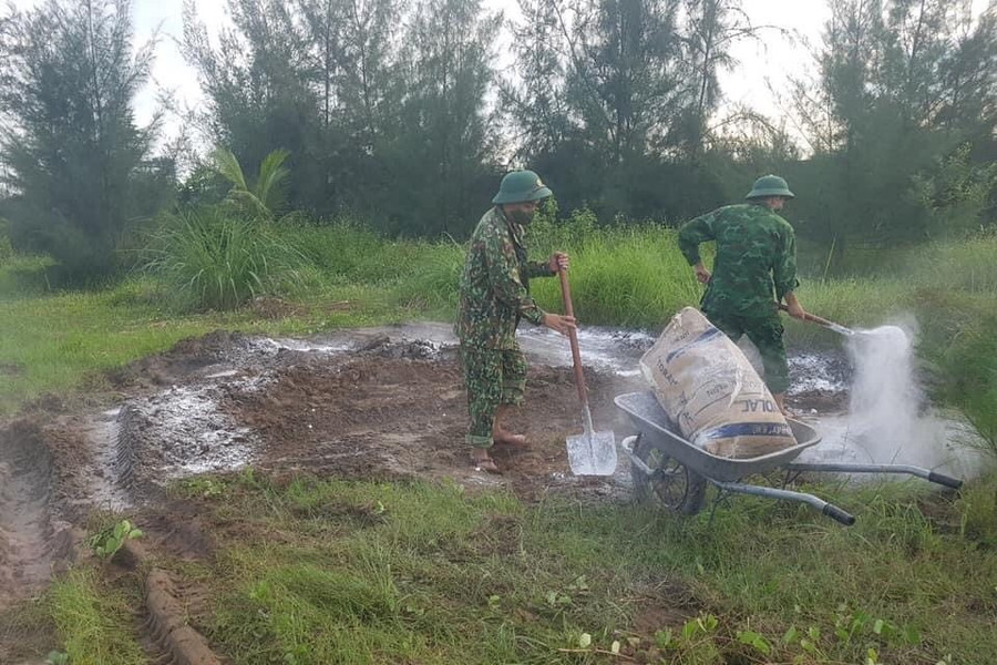 Hải Phòng: Xuất hiện ổ dịch tả lợn châu Phi mới tại huyện Cát Hải