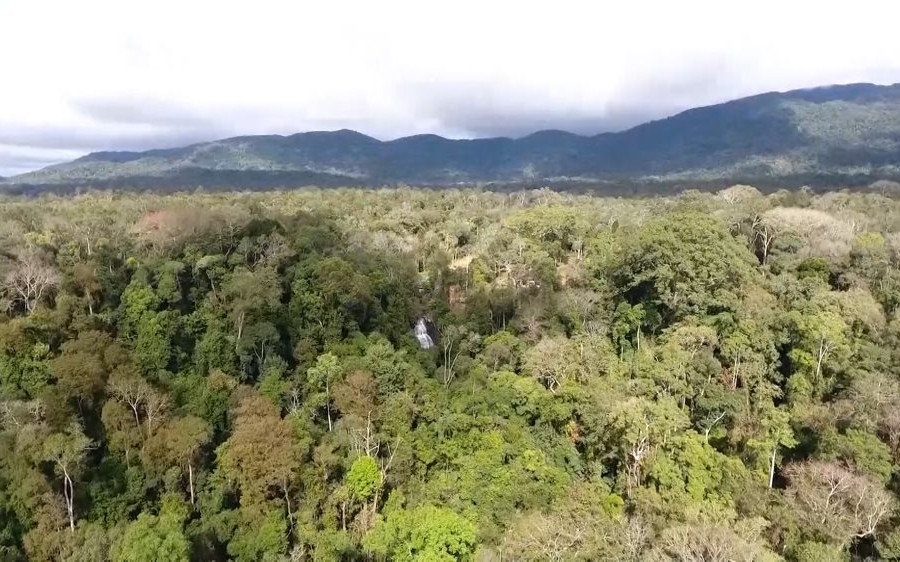 Đắk Nông: Đặt mục tiêu che phủ rừng đến năm 2025 đạt trên 40%