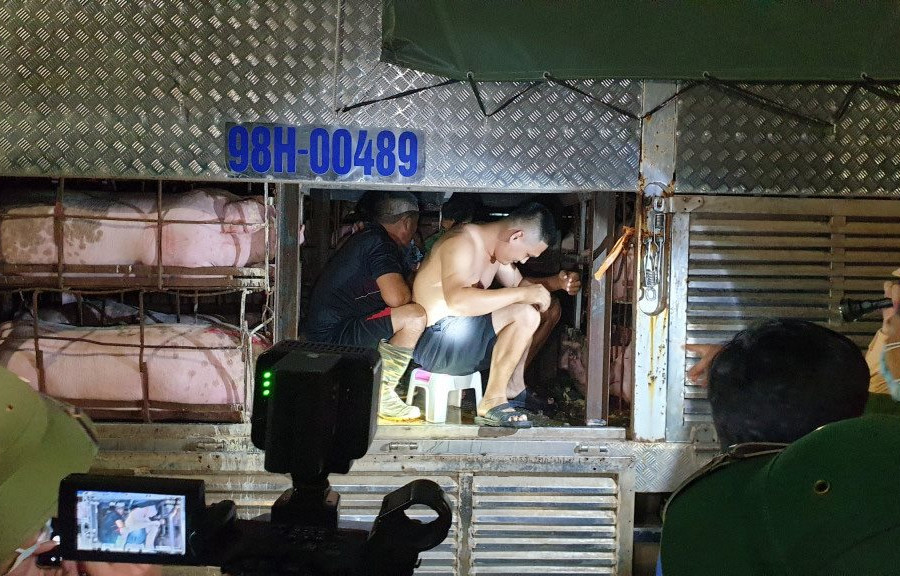 Quảng Ninh: Phát hiện 4 người trốn trên thùng xe chở lợn nhằm 'thông chốt' phòng dịch Covid-19