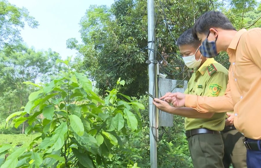 Thái Nguyên: Ứng dụng công nghệ số trong quản lý, bảo vệ và phát triển rừng