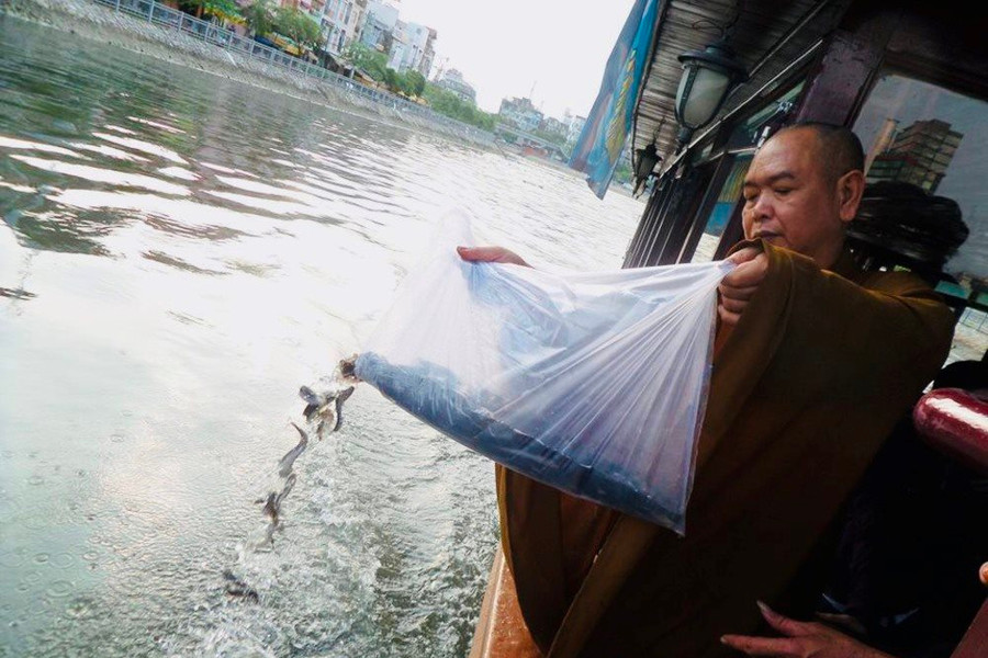 Chùa Long Hoa (TP.HCM):  Thả cá góp phần giảm ô nhiễm môi trường nước