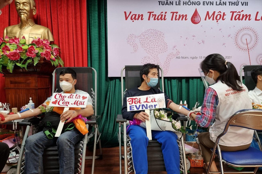 170 tình nguyện viên Công ty Điện lực Hà Nam tham gia tuần lễ hồng EVN