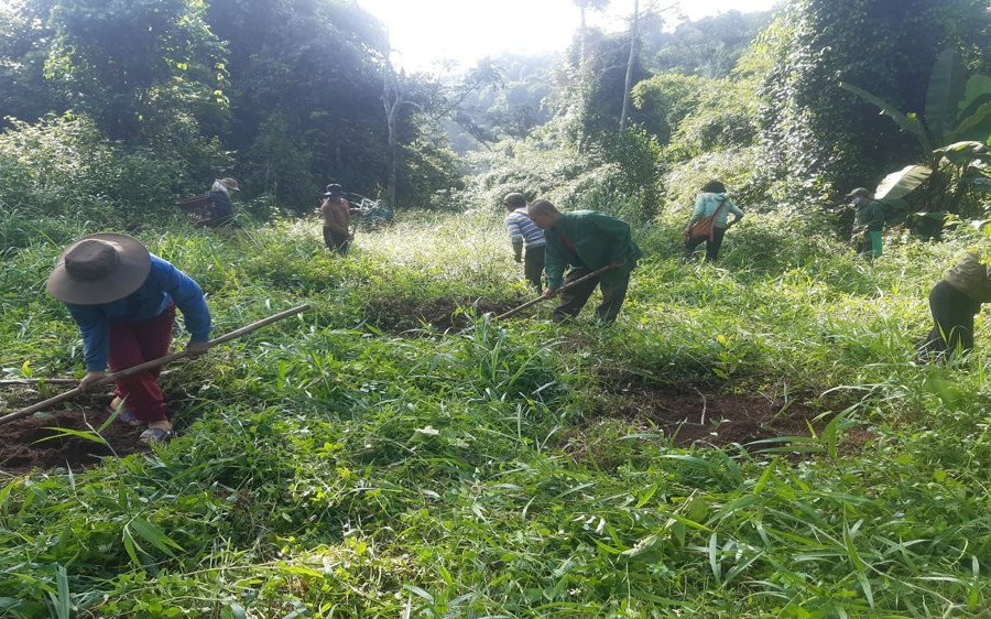 Ban Quản lý rừng phòng hộ Nam Cát Tiên: Hiệu quả từ công tác giao khoán bảo vệ rừng