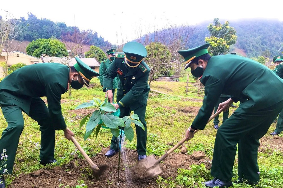 Sơn La: Các địa phương ra quân hưởng ứng Tết trồng cây 2022