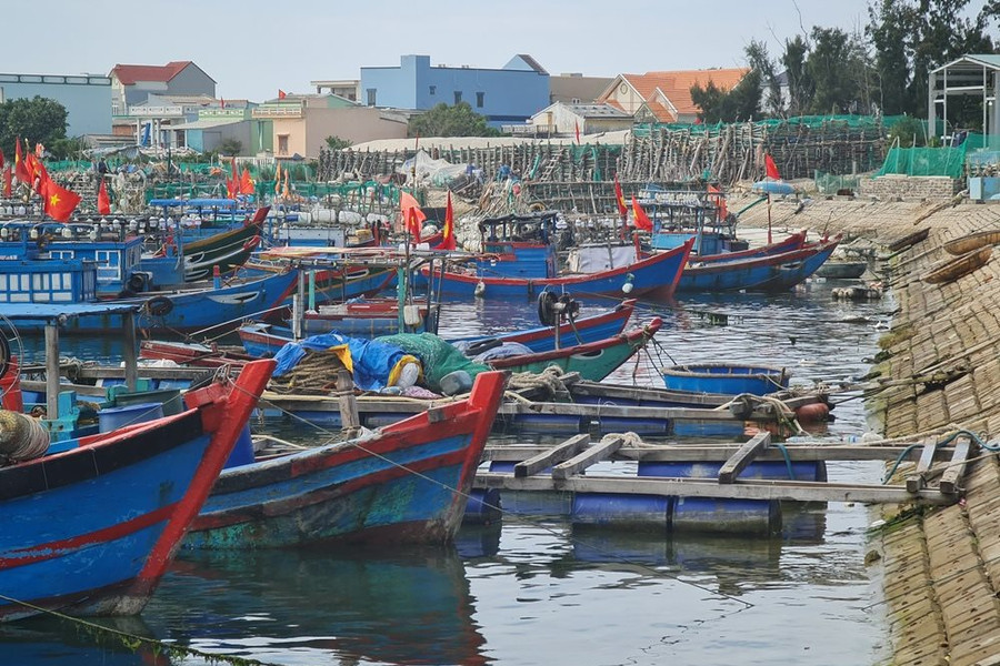  “Gỡ” cho dự án Vũng neo đậu tàu thuyền Lý Sơn dang dở 17 năm  