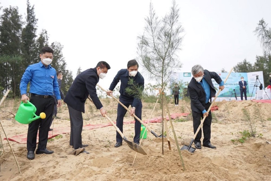 Nghệ An: Ngân hàng BIDV tổ chức trồng 6.500 cây phòng hộ ven biển