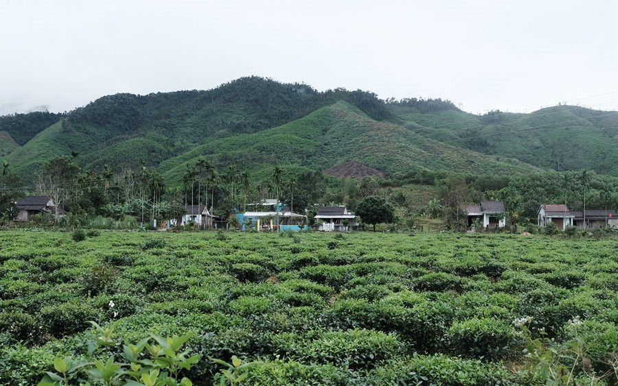 Quảng Nam: “Khai tử” dự án Khu du lịch nghỉ dưỡng sinh thái cao cấp Tây Bà Nà