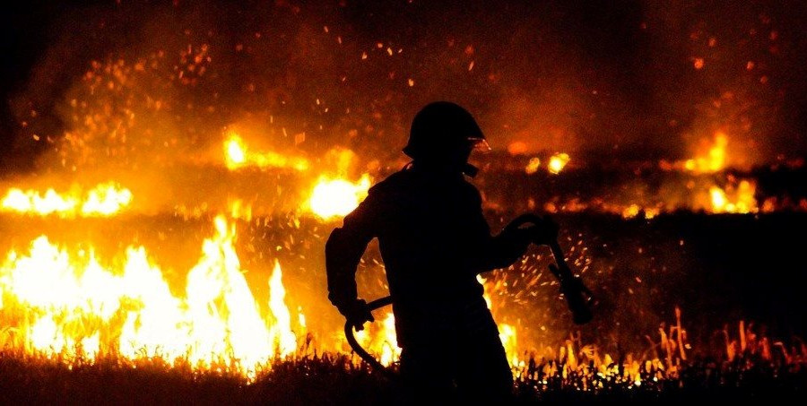 Cảnh báo rủi ro xảy ra cháy rừng sẽ tăng 50% vào cuối thế kỷ