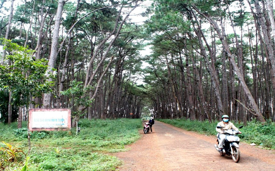 Đắk Lắk: Chung tay giữ màu xanh cho rừng đặc dụng buôn Tring