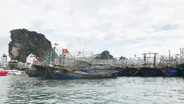 Quảng Ninh: Đẩy mạnh các biện pháp chống khai thác thủy sản bất hợp pháp