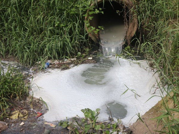 Thừa Thiên – Huế: Xả thải ô nhiễm, một doanh nghiệp bị xử phạt gần 300 triệu đồng