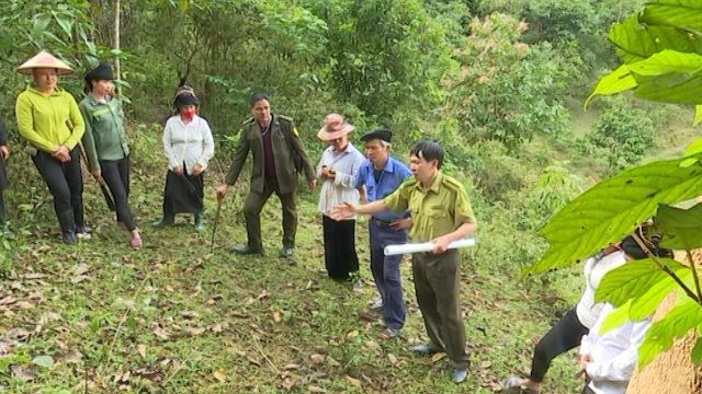 Kiểm tra, xác minh diện tích rừng cung ứng dịch vụ môi trường rừng trên địa bàn huyện Mường Ảng