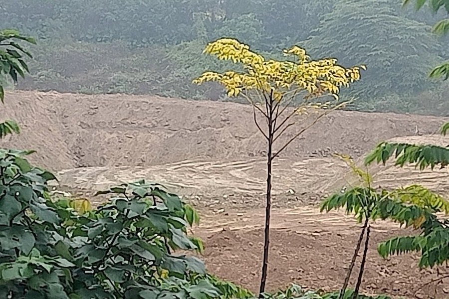 Long Biên - Hà Nội: Cần làm rõ trách nhiệm đơn vị khai thác san lấp phế thải trái phép ven sông Hồng
