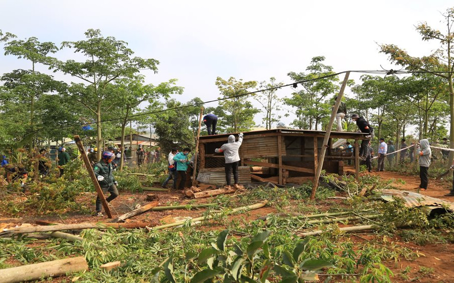 Đắk Glong (Đắk Nông): Quyết liệt thu hồi đất rừng bị lấn chiếm dọc Quốc lộ 28