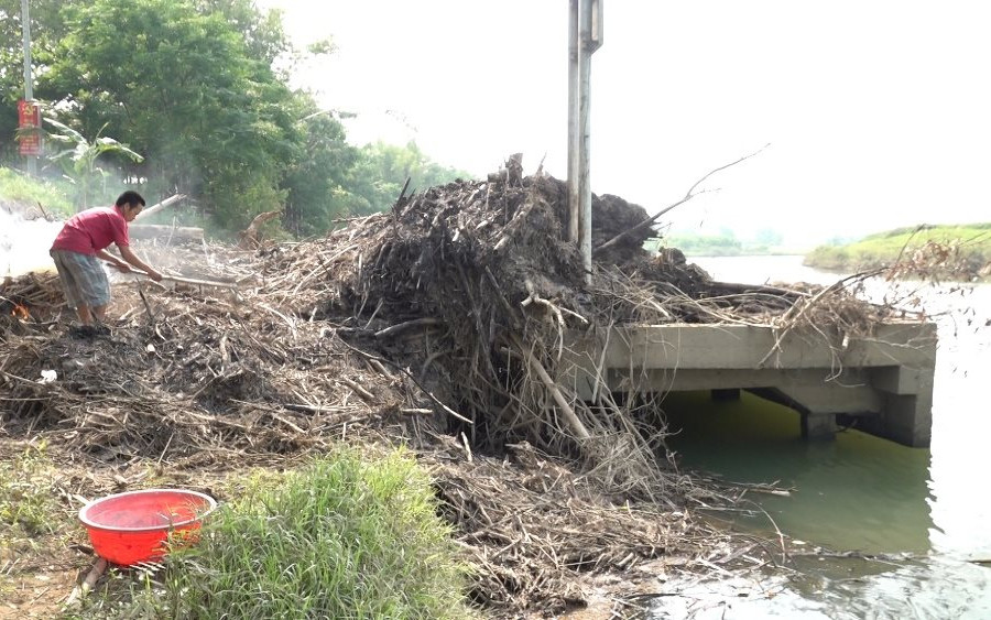 Đà Nẵng: Nhiều cầu tàu dang dở, bỏ hoang trở nên ô nhiễm