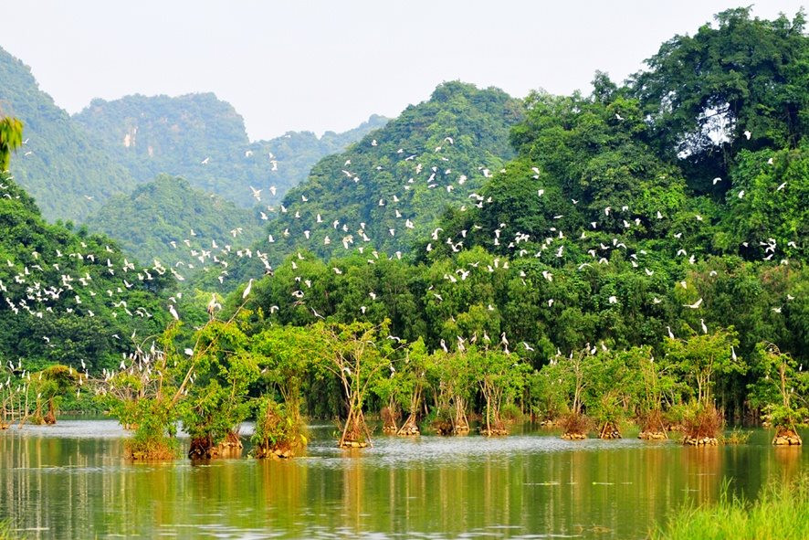 Xây dựng Chỉ số đa dạng sinh học đa chiều cho Việt Nam