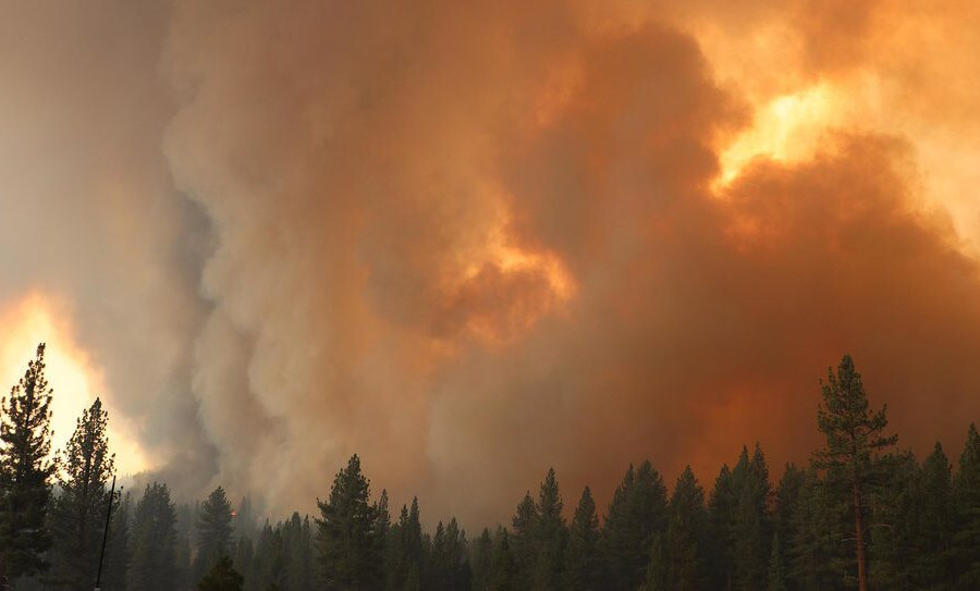 Phát triển phương pháp dự đoán theo mùa về cháy rừng ở miền Tây nước Mỹ