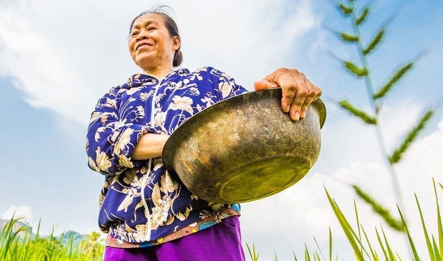 Ngày Môi trường thế giới: Tổng thư ký Liên Hợp Quốc kêu gọi giải quyết khủng hoảng môi trường