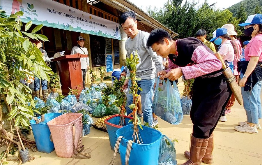 Gần 6.000 cây được trồng ở Vân Hồ nhân Ngày Môi trường thế giới 2022