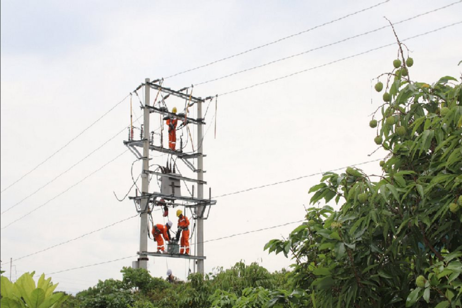 Công ty Điện lực Bắc Giang chủ động cấp điện cho thu hoạch vải thiều