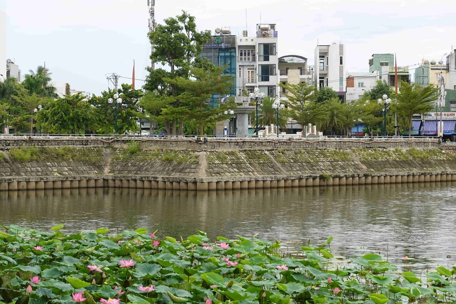 Bình Định: Nguyên nhân cá hồ Bàu Sen chết hàng loạt 