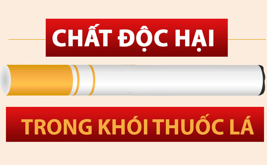 [Infographic] – 4 nhóm chất gây hại cho sức khỏe trong khói thuốc lá