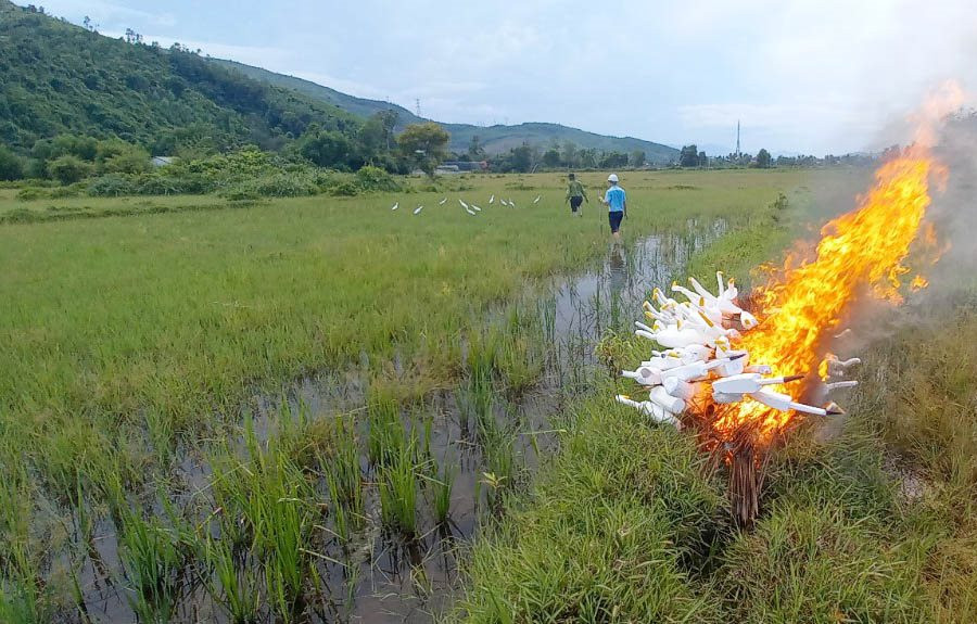 Thừa Thiên – Huế: Tiêu hủy hàng ngàn dụng cụ bẫy chim hoang dã