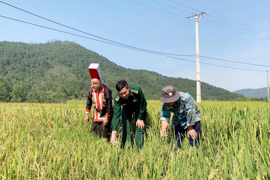 Quảng Ninh gắn bảo vệ nguồn nước gắn với giảm nghèo bền vững 