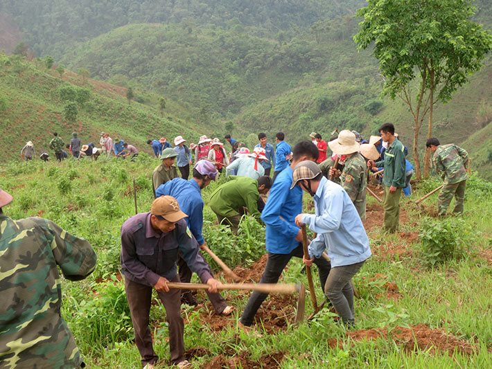Mường Ảng (Điện Biên): Diện tích rừng trồng phòng hộ tăng nhanh