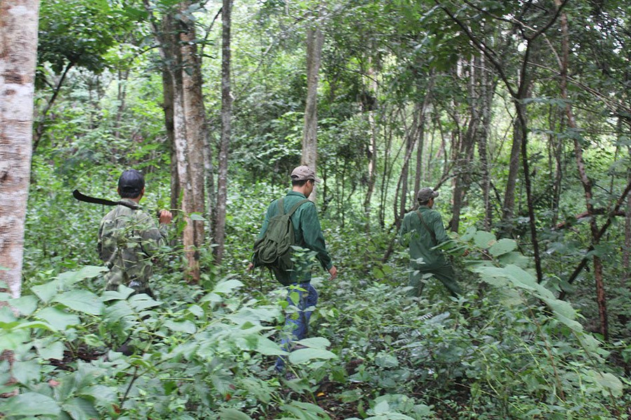 Huy động sức dân để bảo vệ rừng
