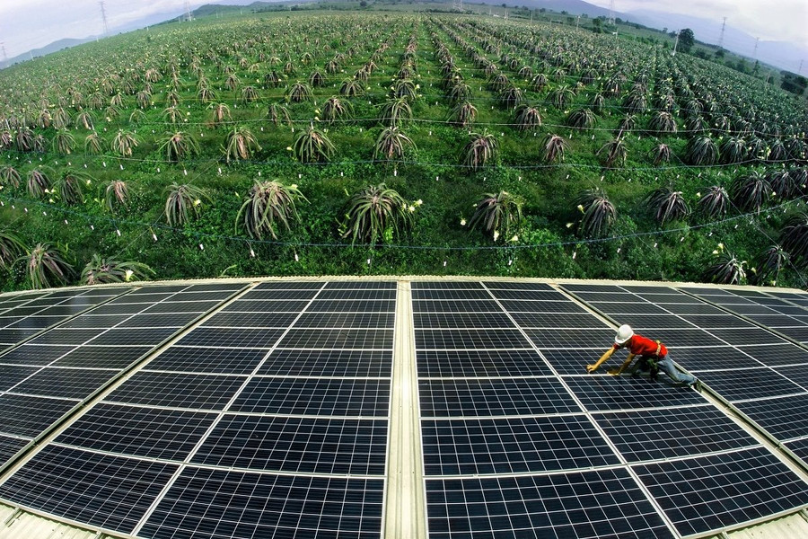 Xã Ea H’leo, huyện Ea H’leo, Đắk Lắk: Đồng ý triển khai dự án Điện mặt trời với vốn đầu tư 4.900 tỷ đồng