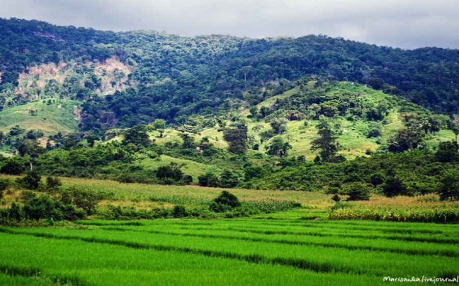 Đắk Lắk: Phát huy nguồn lực đất đai tạo đột phá giúp người dân thoát nghèo