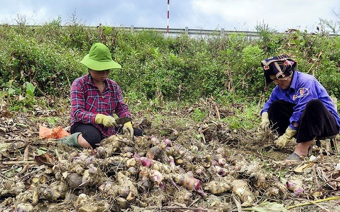 Huyện Điện Biên (Điện Biên): Cần sử dụng hài hòa tài nguyên đất với phát triển kinh tế