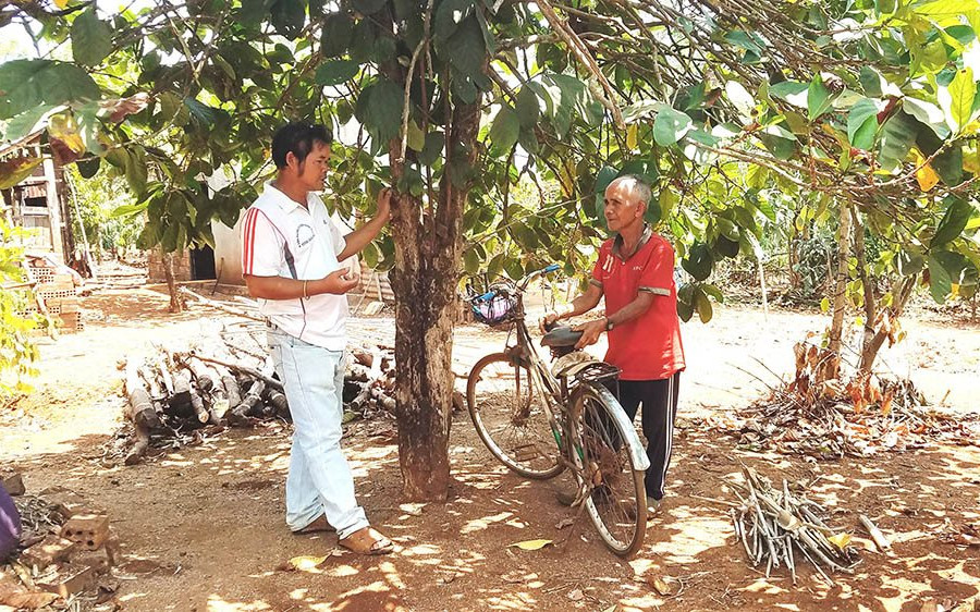 Gia Lai: Người dân làng Breng 2 nhận lại đất cho thuê sau 25 năm