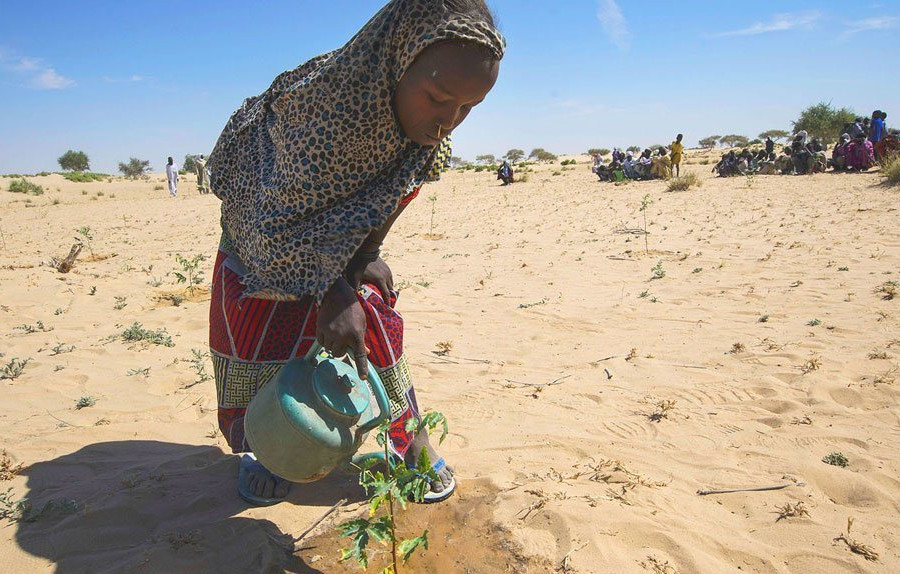 Phần lớn các khu vực trên thế giới khô hạn hơn mức bình thường