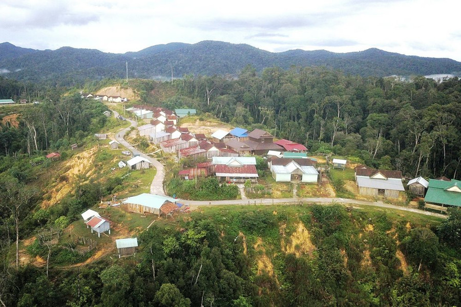 Chính sách chi trả DVMTR ở Kon Tum: Động lực để giữ rừng