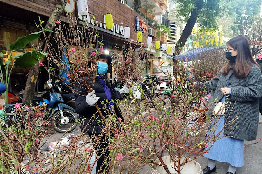 Hà Nội: Tổ chức phân luồng giao thông phục vụ chợ hoa   Xuân 2023