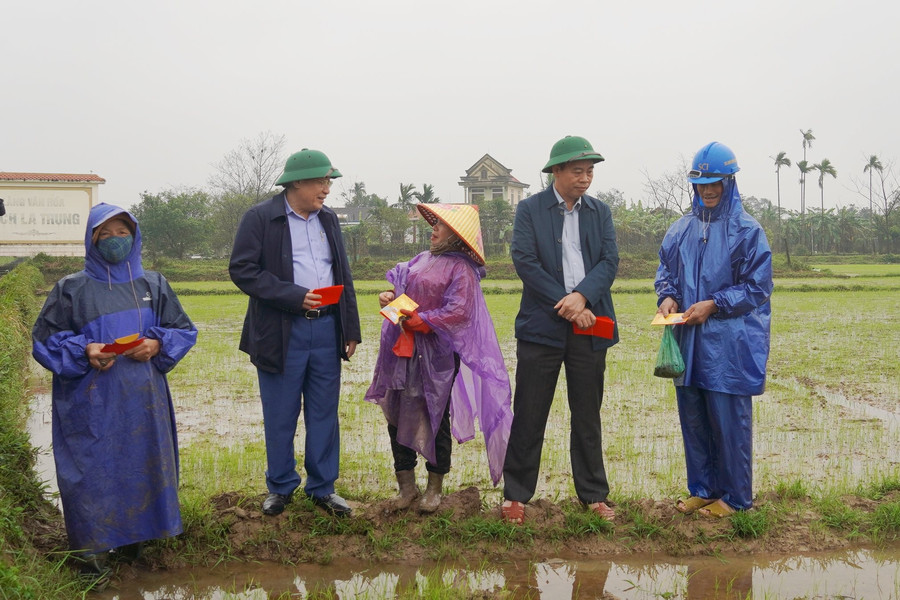 Quảng Trị: Lãnh đạo tỉnh thăm đồng, động viên bà con nông dân sản xuất đầu năm