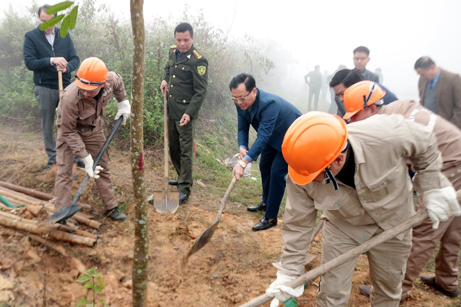 Lào Cai: Hàng trăm công nhân của KCN hóa chất Tằng Loỏng tham gia Tết trồng cây