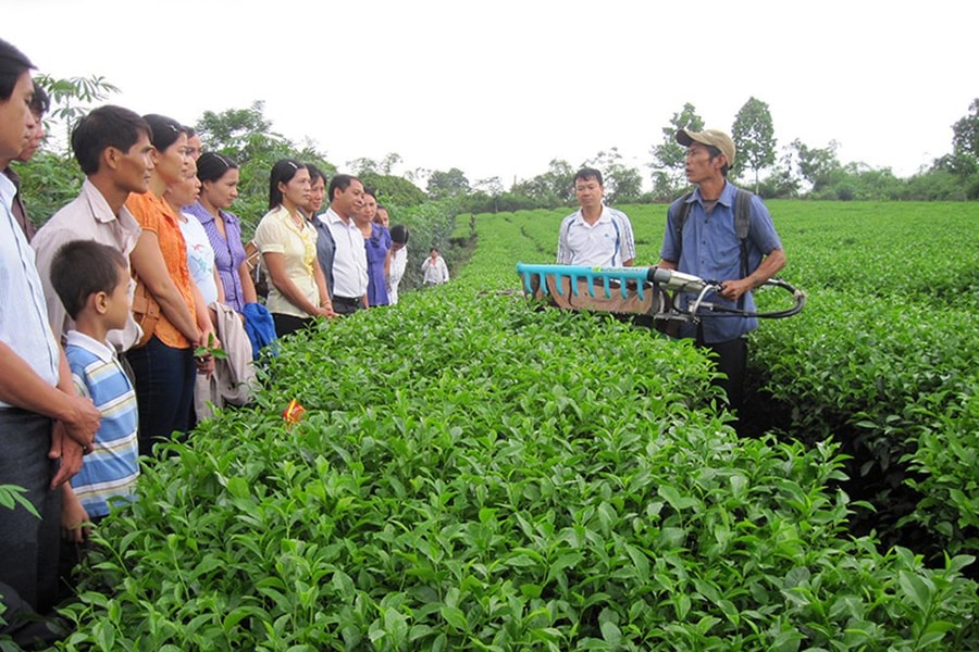 Thúc đẩy thương mại điện tử ở vùng dân tộc thiểu số