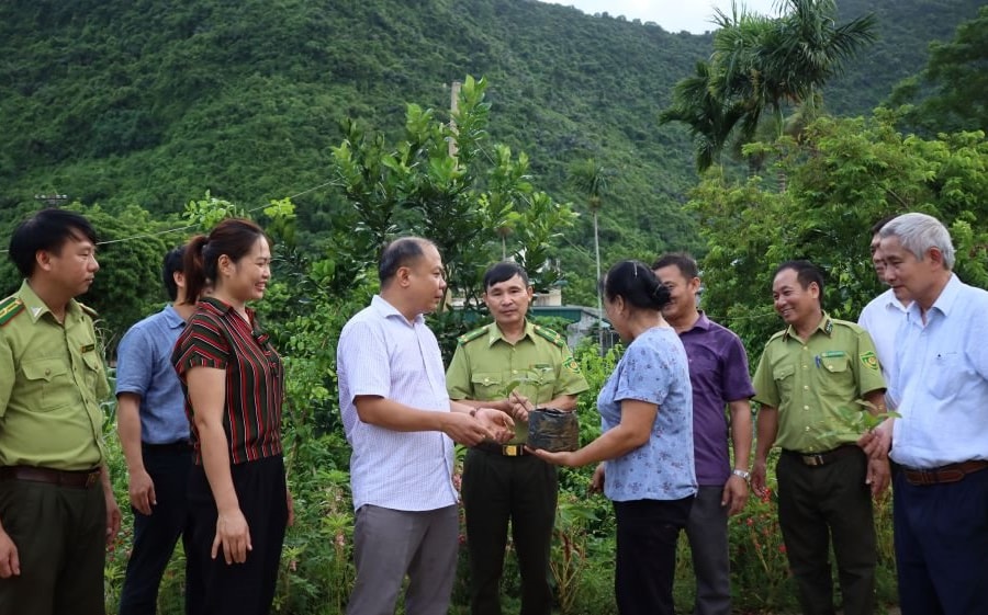 Tăng giá trị cây dược liệu bản địa gắn với bảo vệ hệ sinh thái rừng