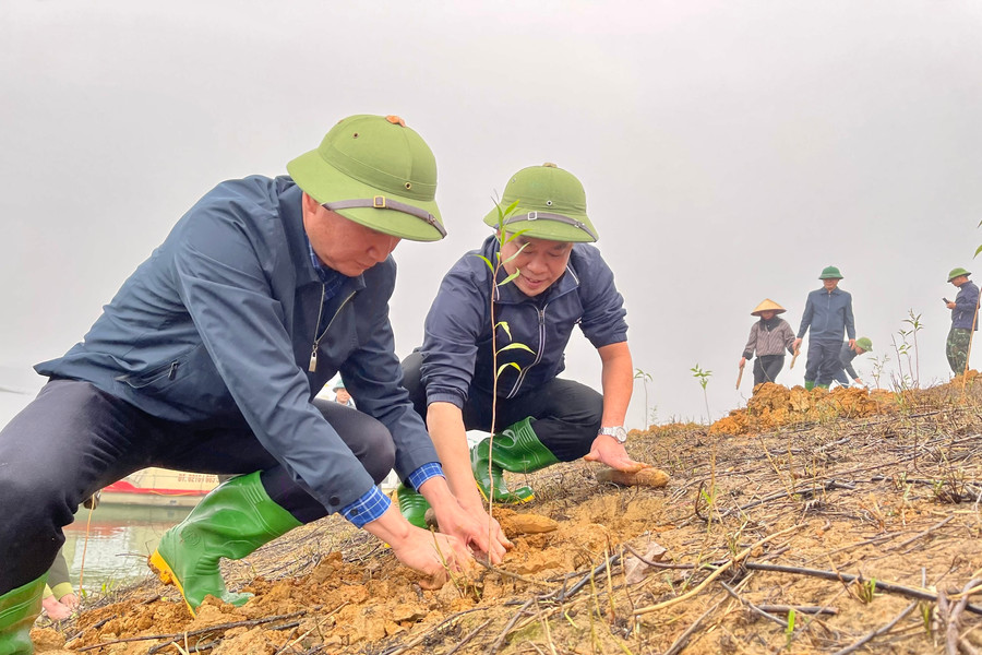 Chủ tịch UBND tỉnh Yên Bái tham gia trồng cây trên đảo hồ Thác Bà