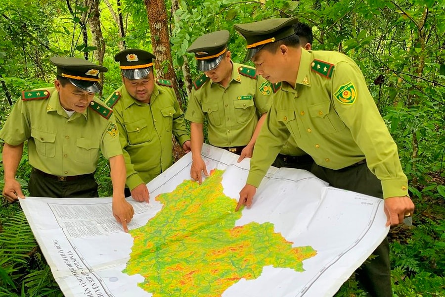 Sơn La: Công bố hiện trạng rừng năm 2022