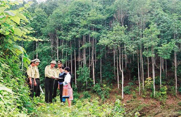 Xã Lản Nhì Thàng làm tốt công tác khoanh nuôi, bảo vệ rừng