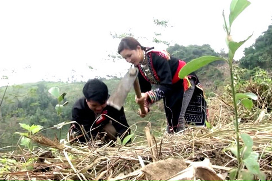 Nâng cao vai trò phụ nữ người dân tộc trong quản lý và sử dụng tài nguyên rừng
