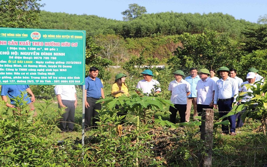 Huyện Vũ Quang (Hà Tĩnh): Mạnh dạn đưa nhiều mô hình nông nghiệp hữu cơ vào áp dụng