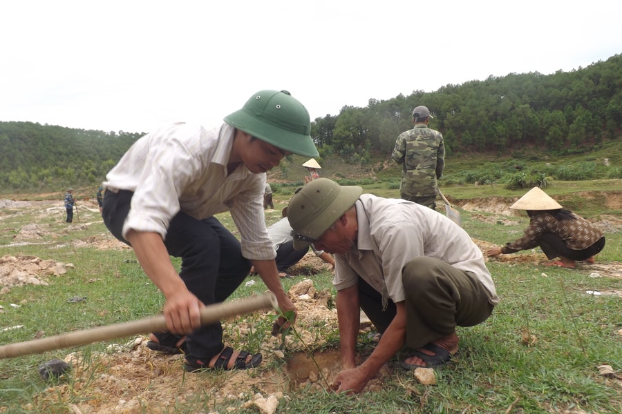 Nghệ An khởi sắc chi trả dịch vụ môi trường rừng