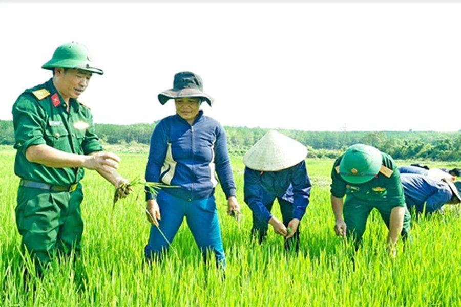 Tây Nguyên: Nhiều mô hình hay giúp đồng bào giảm nghèo